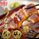 【ふるさと納税】 三河産うなぎ「蒲焼き冷凍×5尾(650グラム以上:100グラム〜160グラム内)+鰻肝串2本付き×2袋」・A184-30 うなぎ 蒲焼 うなぎ...