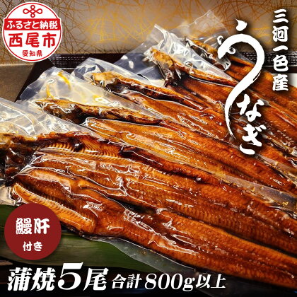 三河一色うなぎ【蒲焼5尾（合計800g以上）】鰻肝付き F012【冷凍便】 蒲焼き 惣菜 国産うなぎ ウナギ 鰻 愛知県産 西尾市産 西尾一色産 タレ付き たれセット かば焼き MB