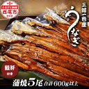 【ふるさと納税】三河一色 うなぎ【蒲焼 5尾 中サイズ(合計600g以上)】鰻肝付き F018-31【冷凍便】 蒲焼き 惣菜 国産うなぎ ウナギ 鰻 愛知県産 ...