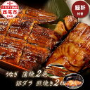 【ふるさと納税】【三河一色 うなぎ 中サイズ 蒲焼 2尾(240g以上)&銀ダラ(80g以上) 照焼き 2切】鰻肝付き F022-19【冷凍便】 蒲焼き 照り焼...