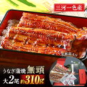 【ふるさと納税】三河一色産うなぎ蒲焼 大サイズ2尾入り【蒲焼パック冷凍×2尾(1尾約155g)】 M044-19 【冷凍便】 国産 無頭 三河産 日本産 愛知県...