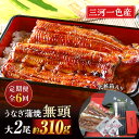 【ふるさと納税】【定期便】三河一色産うなぎ蒲焼 大サイズ無頭2尾入り×6回(毎月)・M115 蒲焼き 総菜 国産うなぎ ウナギ 鰻 愛知県産 西尾市産 西尾一色...