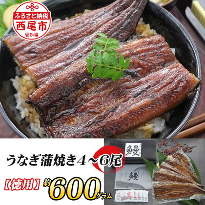 一色産うなぎ蒲焼 無頭（4〜6尾　合計600g以上）T055-29【冷凍便】 国産 無頭 三河産 日本産 愛知県産 鰻 タレ付き たれセット MB