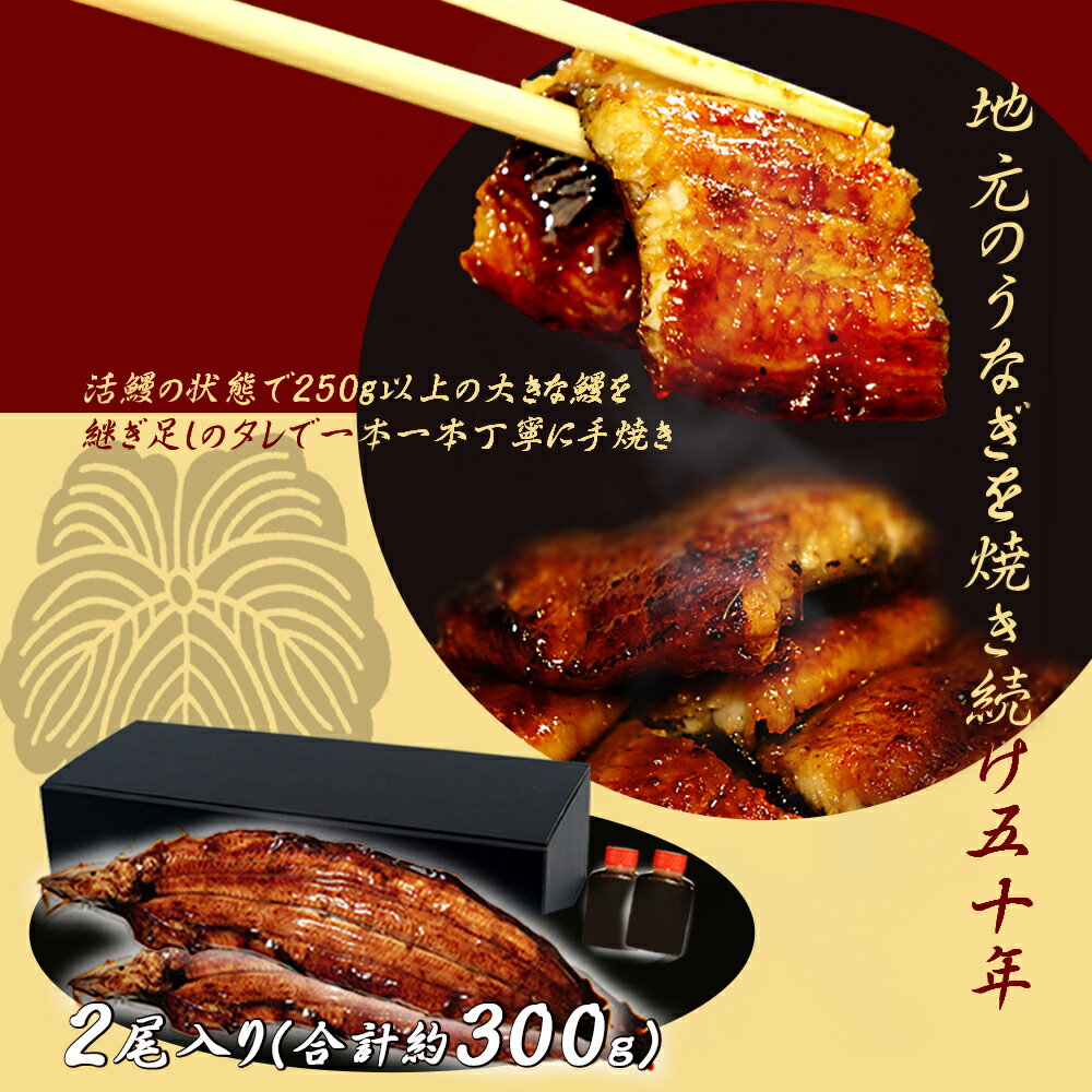 【ふるさと納税】三河一色産　うなぎ手焼き【蒲焼パック2尾（1尾 150g～180g）】U033-25【冷凍便】蒲焼き 総菜 国産うなぎ ウナギ 鰻 愛知県産 西尾市産 西尾一色産 タレ付き たれセット 蒲焼き かば焼き MB