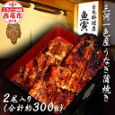 【ふるさと納税】三河一色産　うなぎ手焼き【蒲焼パック2尾（1尾 150g～180g）】U033-25【冷凍便】蒲焼き 総菜 国産うなぎ ウナギ 鰻 ..