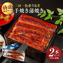 【ふるさと納税】特選 特大サイズ 手焼き蒲焼き2本セット(計335g〜360g)・Y096 うなぎ 鰻の蒲焼 蒲焼 蒲焼セット 手焼き 手焼き蒲焼 湯せん 簡単...