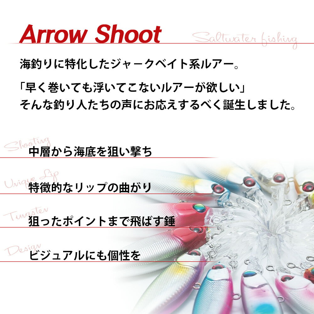 【ふるさと納税】ルアー5個【ARROW SHOOT Type A60】A154-27 ルアー セット 疑似餌 フィッシング 釣り 海釣り saltwater fishing ジャークベイト系 プロ アマ タングステン 釣り道具 MB