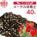 1位! 口コミ数「2件」評価「5」イチゴ専用 メーデル培養土 20L×2袋 A015-14 / 園芸 苺専用 畑 培養土 バーク堆肥 40L