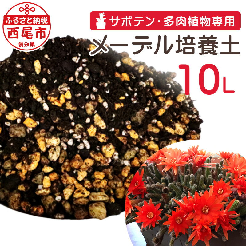 サボテン・多肉植物専用 メーデル培養土 10L A150-13 / 家庭菜園 ベランダ菜園 プランター 園芸 サボテン さぼてん 多肉植物 ガーデニング 土 用土 植物専用 バーク堆肥 培養土 バーク堆肥粒状化物 鹿沼土 軽石 パーライト 有用微生物 微量要素 肥料 MB