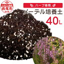 7位! 口コミ数「0件」評価「0」ハーブ専用 メーデル培養土 40L A151-13 / 家庭菜園 ベランダ菜園 ベランダハーブ プランター 園芸 ハーブ ハーブ栽培 ガーデ･･･ 