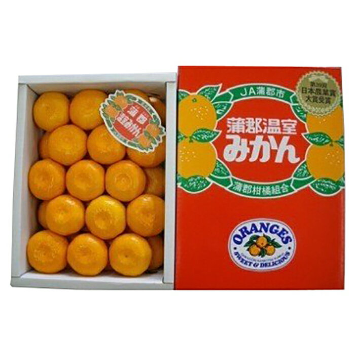 [期間限定]蒲郡温室みかん2.5kg(秀品)