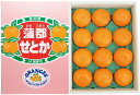 【ふるさと納税】G0003【期間限定】蒲郡 みかん「せとか」約3kg ミカン