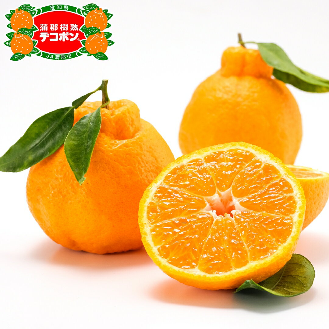 【ふるさと納税】G0004【期間限定】蒲郡樹熟 デコポン 約3kg 樹上で完熟 温室みかん ハウス栽培 早生みかん 宮川早生 箱入娘 おてんば娘 青島 せとか はるみ 樹熟デコポン 化粧箱 中晩柑 愛知県産 ガマゴオリ フルーツ 果物 デザート 美味しい ジューシー お歳暮 お中元