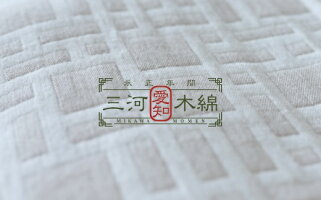 【ふるさと納税】G0278三河木綿カバー読書枕HONTO