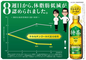 【ふるさと納税】15-101_サントリー 伊右衛門 特茶 500ml 24本（1ケース）｜ トクホ 特保 特定保健用食品 お茶 清涼飲料 ペットボトル 緑茶 1ケース 24本 脂肪 体脂肪 脂肪分解 お食事 食事 飲料 ドリンク ケルセチン ケルセチンゴールド ケルセチン配糖体 愛知 愛知県