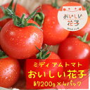 8位! 口コミ数「0件」評価「0」13-10_とても甘いトマト「おいしい花子」 ｜ トマト とまと 完熟 国産 フルティカ 甘い 糖度 リコピン 健康 栄養 美容 生活習慣病･･･ 