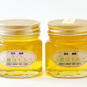 【ふるさと納税】入鹿はちみつ300g2本セット