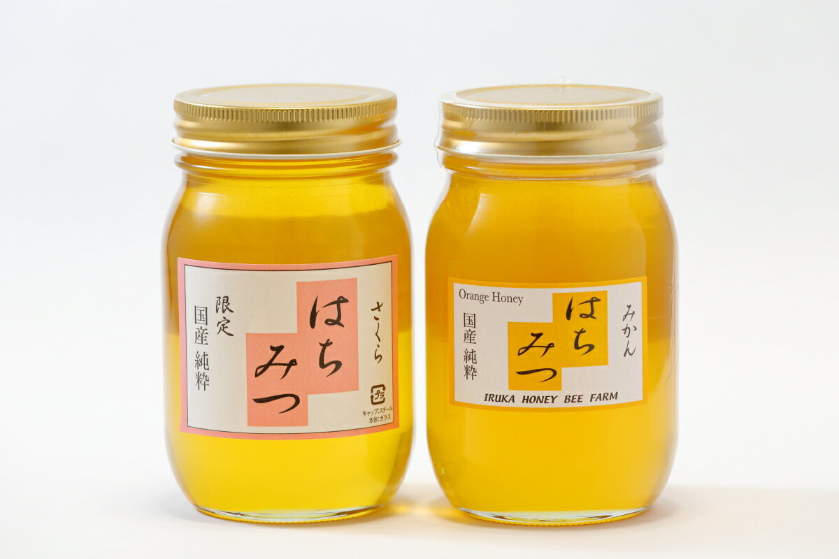 愛知県犬山市の画像2