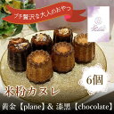 【ふるさと納税】【米粉カヌレ】黄金【plane】&漆黒【chocolate】ハーフ|カヌレ 米粉 グルテンフリー プレーン バニラ ラム酒 チョコレート 高カカオ スイーツ お菓子 焼き菓子 洋菓子 おやつ ご褒美 プレゼント 贈答 贈り物 お取り寄せ laviolette 送料無料