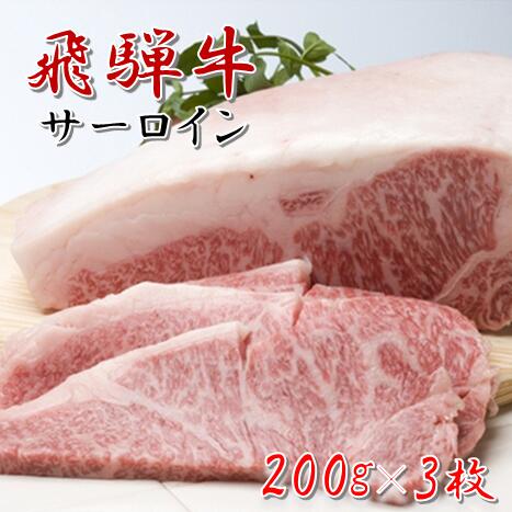 ڤդ뤵Ǽǡ38-8_͵󥹥ơ