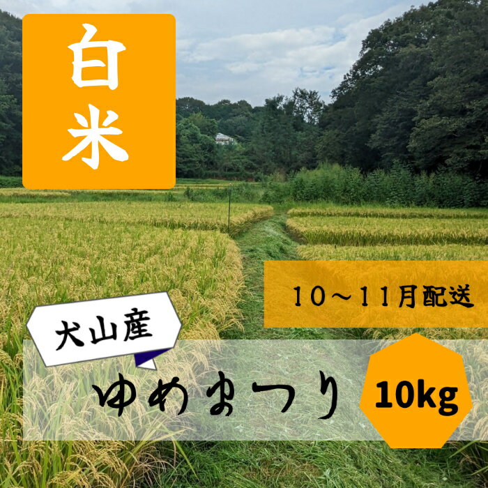 【ふるさと納税】15‐23_【先行予約・数量限定】新米！ゆめまつり　10キロ（白米） ｜ 米 新米 精米 白米 10kg 10キロ お米 犬山 今井 愛知産 愛知県産 あいちの米 愛知県の特産品 特産品 ゆめまつり 品種 林ファーム ファーム 数量限定 ふるさとの味のサムネイル