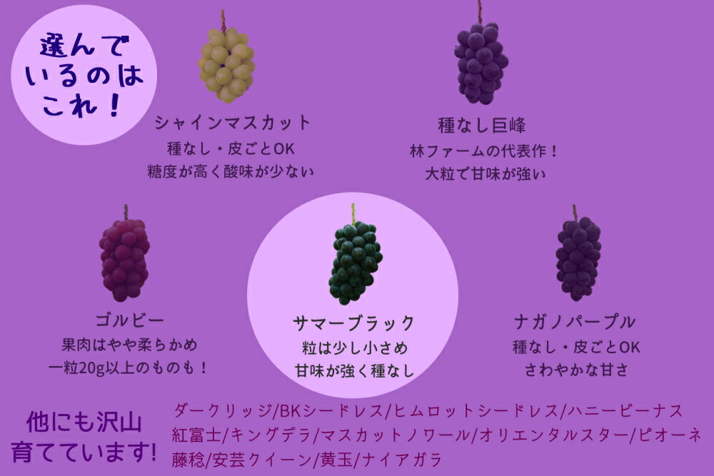 愛知県犬山市の画像2