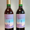 21位! 口コミ数「0件」評価「0」16-8_煌めきワイン一番星（赤）2本｜ワイン 赤ワイン 720ml 2本セット 純国産 アルコール 酒 国産ワイン 愛知 愛知県 岐阜 尾･･･ 