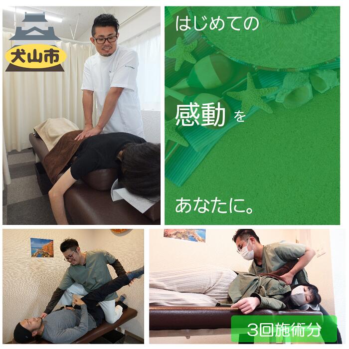 【ふるさと納税】51-7_ヤシの木接骨院の痛み解消姿勢改善整体　3回分｜ ヤシの木接骨院　肩こり　腰痛　猫背　骨盤　ストレッチ　電気療法　体験　リフレッシュ　リラックス　美姿勢　ストレス解消　もみほぐし　パーソナルストレッチ 整体　施術チケット