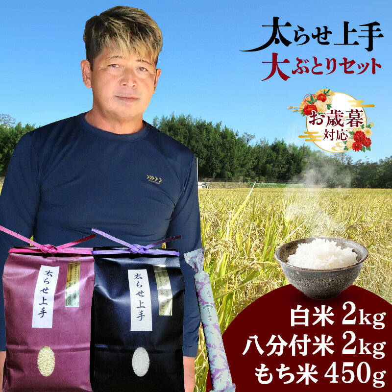 【ふるさと納税】《お歳暮対応可！》数量限定 【精米歩合が選べる！】大ぶとりセット【太らせ上手（白米＋分付き米＋もち米）】計 4.45kg あいちのかおり ひよくもち 白米 玄米 分付き米 八分付 五分付 三分付 もち米 愛知県産 米 ご飯 安心 安全 コスパ 農作物 送料無料