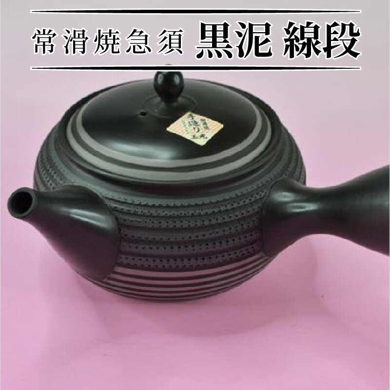 【ふるさと納税】常滑焼急須 黒泥 線段 陶器 やきもの 手作り 伝統工芸品 工芸品 常滑市 愛知県 茶器 茶道具 日本六古窯 送料無料