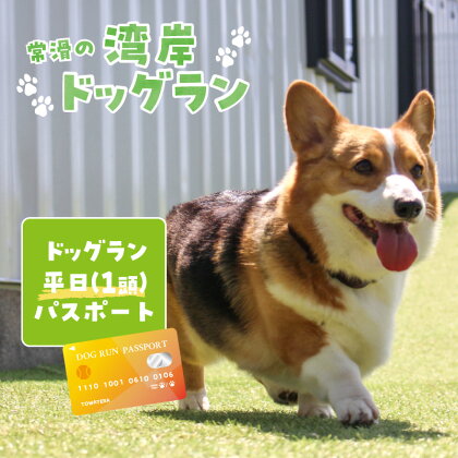 【海を一望できるドッグラン 利用チケット】ドッグラン平日パスポート 1頭 犬 ペット 天然芝 おでかけ 知多半島 観光 体験チケット カフェ ペット同伴 犬連れ ドッグラン 広い 年間パスポート 屋内 屋外