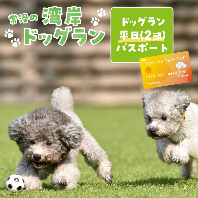 【ふるさと納税】【海を一望できるドッグラン 利用チケット】ドッグラン平日パスポート 2頭 犬 ペット 天然芝 おでかけ 知多半島 観光 体験チケット カフェ ペット同伴 犬連れ ドッグラン 広い 年間パスポート 屋内 屋外