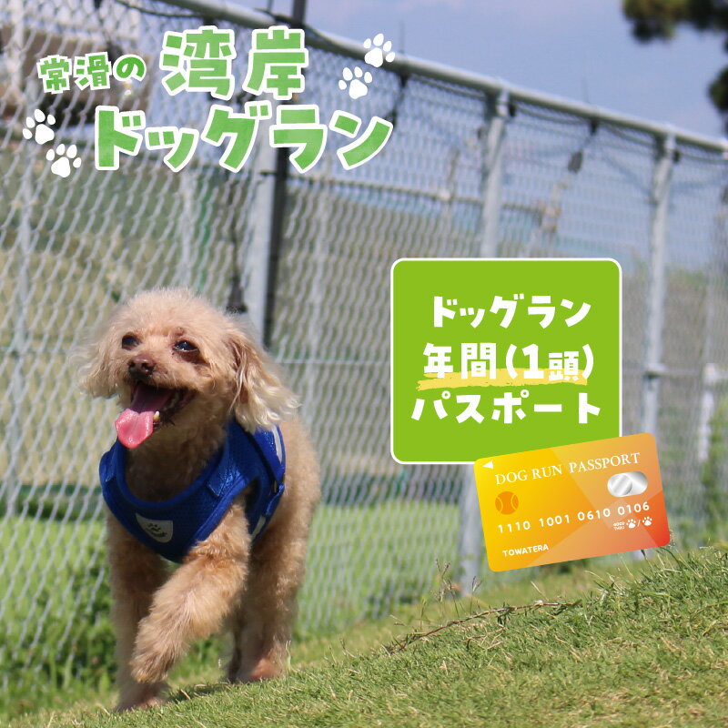 【ふるさと納税】【海を一望できるドッグラン 利用チケット】ドッグラン年パスポート 1頭 犬 ペット 天然芝 おでかけ 知多半島 観光 体験チケット カフェ ペット同伴 犬連れ ドッグラン 広い 年間パスポート 屋内 屋外