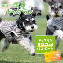 【ふるさと納税】【海を一望できるドッグラン 利用チケット】ドッグラン年パスポート 2頭 犬 ペット 天然芝 おでかけ 知多半島 観光 体験チケット カフェ ペッ...