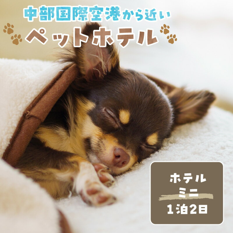 [海を一望できるドッグラン 利用チケット]ホテル ミニ1泊2日 犬 ペット ペットホテル 犬用ホテル 超小型犬 小型犬 宿泊 ドッグラン 常滑市 空港に近い 体験チケット 1頭