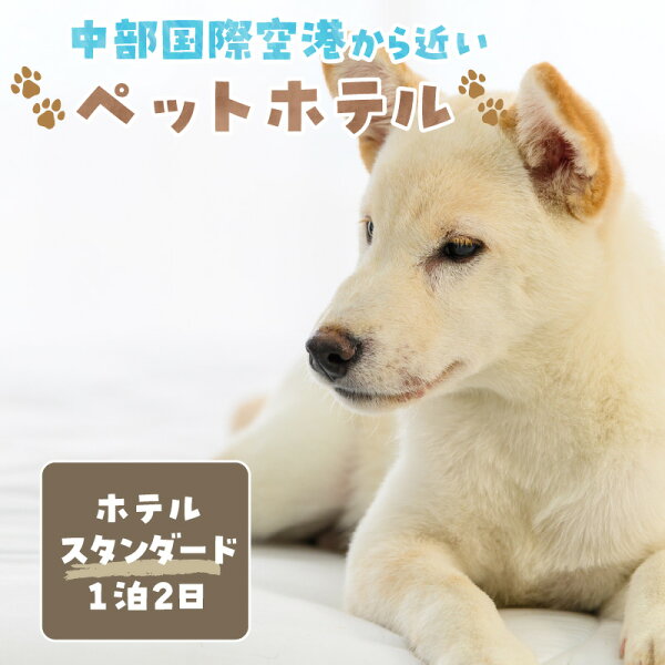 愛知県常滑市の【ふるさと納税】【海を一望できるドッグラン 利用チケット】ホテル スタンダード1泊2日 犬 ペット ペットホテル 犬用ホテル 小型犬 中型犬 宿泊 ドッグラン 常滑市 空港に近い 体験チケット 1頭|詳細画像