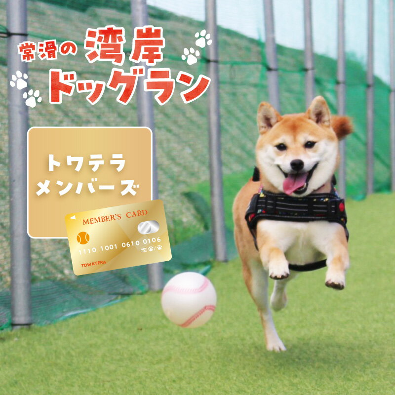 [海を一望できるドッグラン 利用チケット]トワテラメンバーズ 犬 ペット 天然芝 おでかけ 知多半島 観光 体験チケット プール トリミング ペットホテル 犬用ホテル カフェ ペット同伴 犬連れ