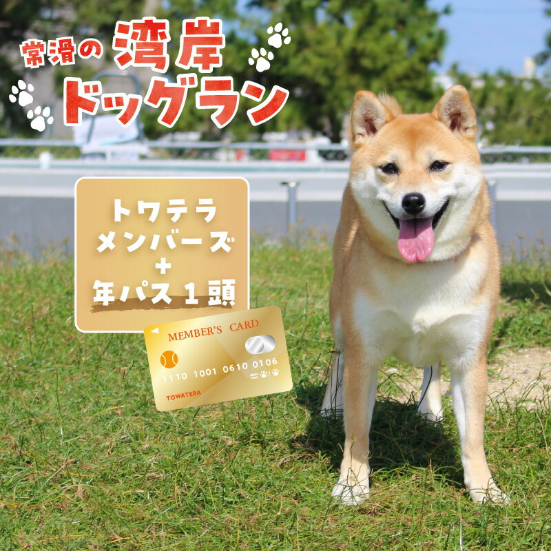 【ふるさと納税】【海を一望できるドッグラン 利用チケット】トワテラメンバーズ＋年パス 1頭 犬 ペット 天然芝 おでかけ 知多半島 観光 体験チケット プール トリミング ペットホテル 犬用ホ…