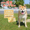 【ふるさと納税】【海を一望できるドッグラン 利用チケット】トワテラメンバーズ＋年パス 1頭 犬 ペット 天然芝 おでかけ 知多半島 観..