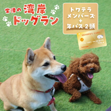 【海を一望できるドッグラン 利用チケット】トワテラメンバーズ＋年パス 2頭 犬 ペット 天然芝 おでかけ 知多半島 観光 体験チケット プール トリミング ペットホテル 犬用ホテル カフェ ペット同伴 犬連れ