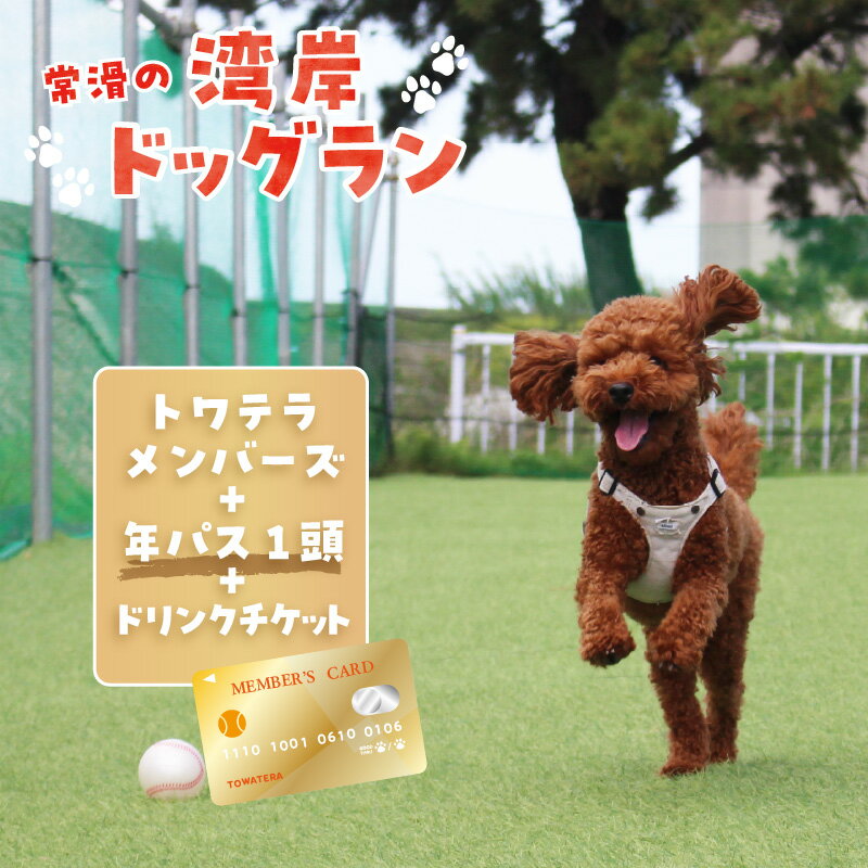 [海を一望できるドッグラン 利用チケット]トワテラメンバーズ+年パス 1頭+ドリンクチケット 犬 ペット 天然芝 おでかけ 知多半島 観光 体験チケット プール トリミング ペットホテル 犬用ホテル カフェ ドリンク 年間パスポート ペット同伴 犬連れ