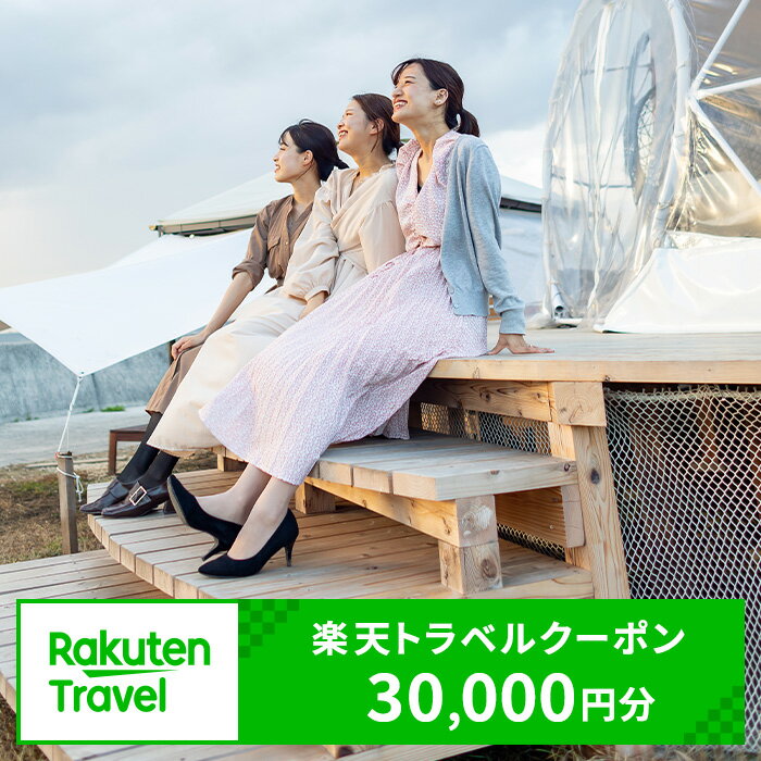 【ふるさと納税】愛知県常滑市の対象施設で使える楽天トラベルクーポン 30,000円分【寄付額100,000円】