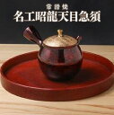 【ふるさと納税】【常滑焼】名工昭龍天目急須 陶器 やきもの セラメッシュ 名工作品 伝統工芸 工芸品 六古窯 急須 ポット お茶 日本製 国産 茶道具 茶器 日...