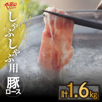 ブリオ あいぽーく しゃぶしゃぶ用 【 ロース 】 400g×4 豚肉 美味しい肉 鍋 小分け 石川養豚場 ブランド 豚 農場 HACCP 認証 愛知県産豚肉 人気 冷凍 おいしい 安全なお肉 常滑市 お肉 赤身肉 脂 国産 国産豚 ポーク ブランド 人気 送料無料