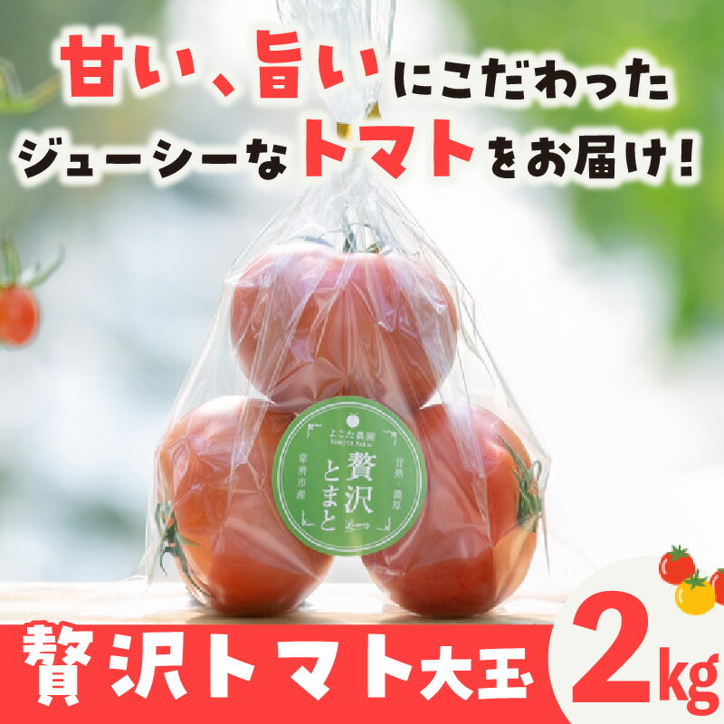 【ふるさと納税】フルーツトマト 贅沢トマト 大玉 【2kg】 よこた農園 野菜 トマト 新鮮野菜 太陽の恵み トマト料理 愛知県産 お取り寄せ グルメ 送料無料