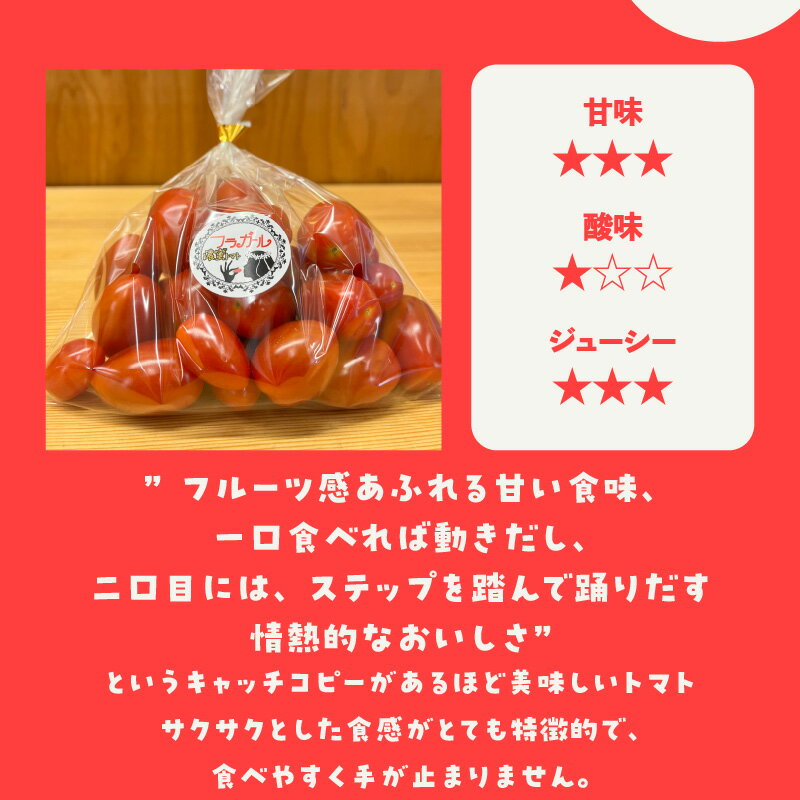 【ふるさと納税】【先行予約】フルーツトマト フラガール プチトマト（へたなし）【1kg】 よこた農園 野菜 トマト 新鮮野菜 太陽の恵み トマト料理 愛知県産 お取り寄せ グルメ へたを取り除いた状態でお届けします ※2025年12月頃から順次発送 送料無料
