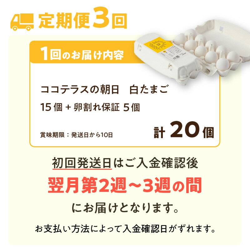 【ふるさと納税】【3ヵ月定期便】ココテラスの朝日（ 白たまご ）15個 + 5個保証【計20個】【 JGAP認証 】農家直送 新鮮 卵 純植物性飼料 飼料にこだわった 卵かけご飯 米たまご 大容量 卵 定期 送料無料