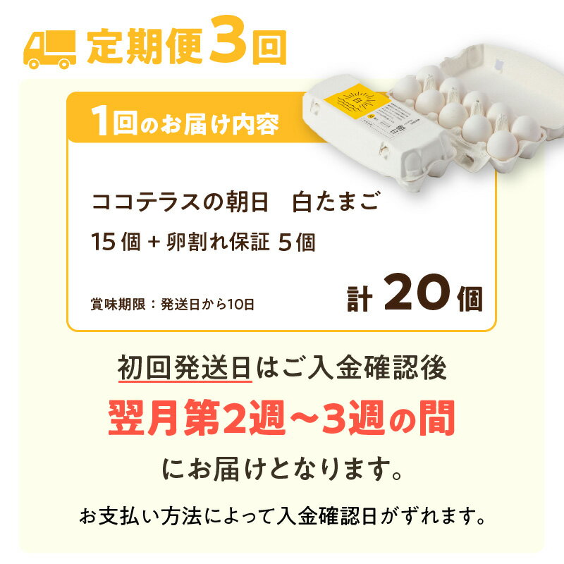 【ふるさと納税】【3ヵ月定期便】ココテラスの朝日（ 白たまご ）15個 + 5個保証【計20個】 農家直送 新鮮 卵 純植物性飼料 飼料にこだわった 卵かけご飯 米たまご 大容量 卵 定期 送料無料