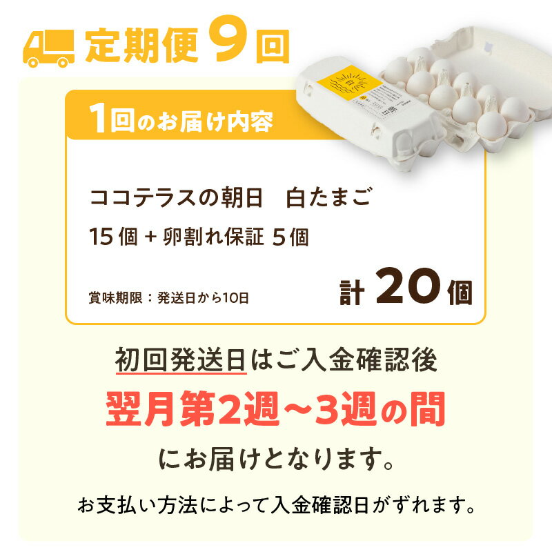 【ふるさと納税】【9ヵ月定期便】ココテラスの朝日（ 白たまご ）15個 + 5個保証【計20個】 農家直送 新鮮 卵 純植物性飼料 飼料にこだわった 卵かけご飯 米たまご 大容量 卵 定期 送料無料