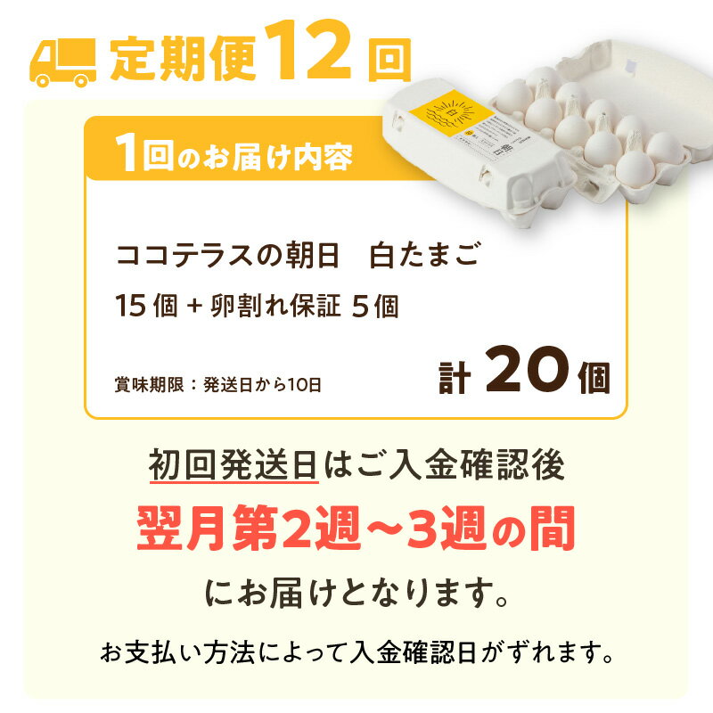 【ふるさと納税】【12ヵ月定期便】ココテラスの朝日（ 白たまご ）15個 + 5個保証【計20個】【 JGAP認証 】農家直送 新鮮 卵 純植物性飼料 飼料にこだわった 卵かけご飯 米たまご 大容量 卵 定期 送料無料